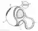 Fig. 01 - Balls for use in baseball and softball