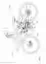 Fig. 02 - Drive sprocket wheel slide restricting structure of bicycle transmission