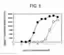 Fig. 06 - Angiogenesis inhibitors