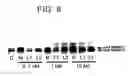 Fig. 09 - Angiogenesis inhibitors