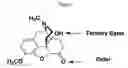 Fig. 02 - Compounds and compositions for prevention of overdose of oxycodone
