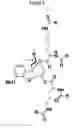 Fig. 03 - Compounds and compositions for prevention of overdose of oxycodone