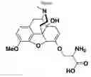 Fig. 05 - Compounds and compositions for prevention of overdose of oxycodone