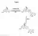 Fig. 02 - Abuse-resistant hydrocodone compounds