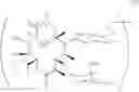 Fig. 06 - Macrolide derivatives having effect of potentiating antifungal activity