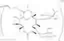 Fig. 08 - Macrolide derivatives having effect of potentiating antifungal activity