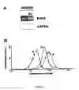 Fig. 02 - Monoclonal antibodies recognizing BAG3 protein sequences and their use in diagnostic and therapy of cell death-involving diseases