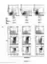 Fig. 06 - Monoclonal antibodies recognizing BAG3 protein sequences and their use in diagnostic and therapy of cell death-involving diseases