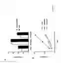 Fig. 08 - Monoclonal antibodies recognizing BAG3 protein sequences and their use in diagnostic and therapy of cell death-involving diseases
