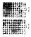 Fig. 02 - Methods and compositions for detecting and treating retinal diseases