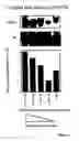 Fig. 07 - Methods for assessing cisplatin resistance, disease progression, and treatment efficacy in ovarian cancer