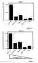 Fig. 28 - Methods for assessing cisplatin resistance, disease progression, and treatment efficacy in ovarian cancer