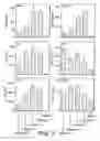 Fig. 04 - Use of cationic lipids to generate anti-tumor immunity