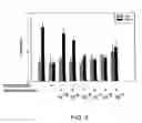 Fig. 03 - Phosphonate compounds