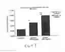 Fig. 05 - Uridine administration stimulates membrane production