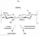Fig. 02 - Compounds and method for coating surfaces in a haemocompatibe manner