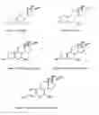 Fig. 02 - Process for the preparation of free flowing pulverized adsorbates of tibolone