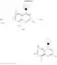 Fig. 06 - Neuropeptide Y antagonists
