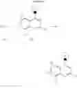 Fig. 07 - Neuropeptide Y antagonists