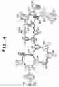 Fig. 05 - Polymorphs of zaleplon and methods for the preparation thereof