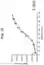 Fig. 11 - Polymorphs of zaleplon and methods for the preparation thereof