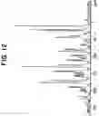 Fig. 13 - Polymorphs of zaleplon and methods for the preparation thereof
