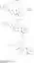 Fig. 44 - Vinorelbine derivatives