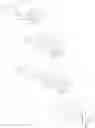 Fig. 45 - Vinorelbine derivatives