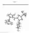 Fig. 06 - (3,5-dimethylpiperidin-1yl)(4-phenylpyrrolidin-3-yl)methanone derivatives as MCR4 agonists