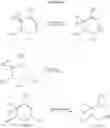 Fig. 24 - (3,5-dimethylpiperidin-1yl)(4-phenylpyrrolidin-3-yl)methanone derivatives as MCR4 agonists