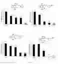 Fig. 02 - Novel chalcone derivatives and uses thereof
