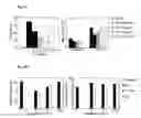 Fig. 07 - Method of preparation and composition of a water soluble extract of the bioactive component of the plant species Uncaria for enhancing immune, anti-inflammatory, anti-tumor and DNA repair processes of warm blooded animals