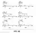 Fig. 29 - Hydrophobic polyamine analogs and methods for their use