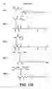 Fig. 43 - Hydrophobic polyamine analogs and methods for their use