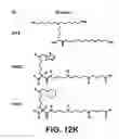Fig. 45 - Hydrophobic polyamine analogs and methods for their use