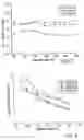 Fig. 06 - Manufacturing process for open celled microcellular foam
