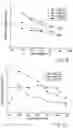 Fig. 07 - Manufacturing process for open celled microcellular foam