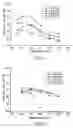 Fig. 08 - Manufacturing process for open celled microcellular foam