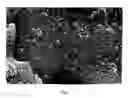 Fig. 02 - Core material