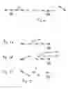 Fig. 02 - Specific detection of proteolytic enzymes