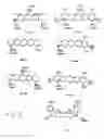 Fig. 05 - Specific detection of proteolytic enzymes