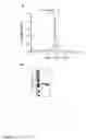 Fig. 03 - Antibody combination useful for tumor therapy