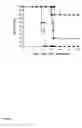 Fig. 07 - Antibody combination useful for tumor therapy