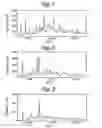 Fig. 02 - Anhydrate/hydrate of an erythromycin derivative and processes for preparing said anhydrate/hydrate