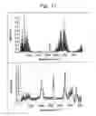 Fig. 10 - Anhydrate/hydrate of an erythromycin derivative and processes for preparing said anhydrate/hydrate