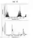 Fig. 12 - Anhydrate/hydrate of an erythromycin derivative and processes for preparing said anhydrate/hydrate