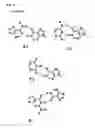 Fig. 04 - Building block capable of functional entity transfer to nucleophil