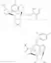 Fig. 05 - Process for preparing N6 substituted aminopurine ribofuranose nucleosides