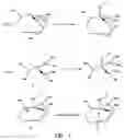 Fig. 02 - Immobilized iminophosphatranes useful for transesterification
