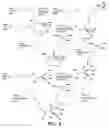Fig. 03 - Immobilized iminophosphatranes useful for transesterification